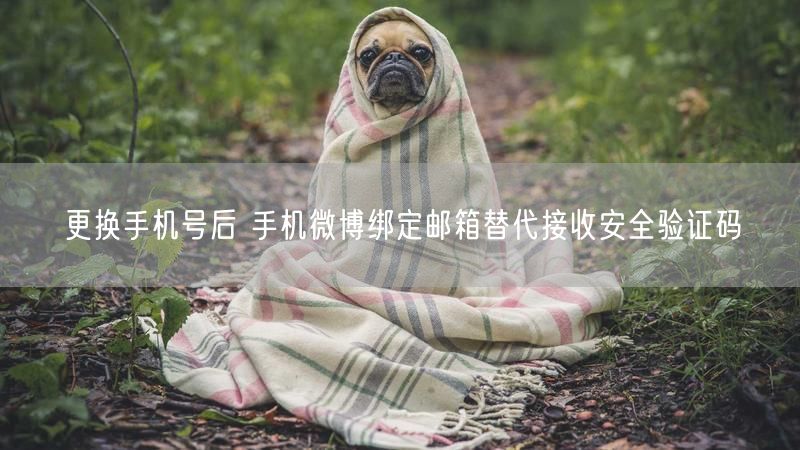 更换手机号后 手机微博绑定邮箱替代接收安全验证码