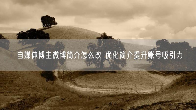 自媒体博主微博简介怎么改 优化简介提升账号吸引力