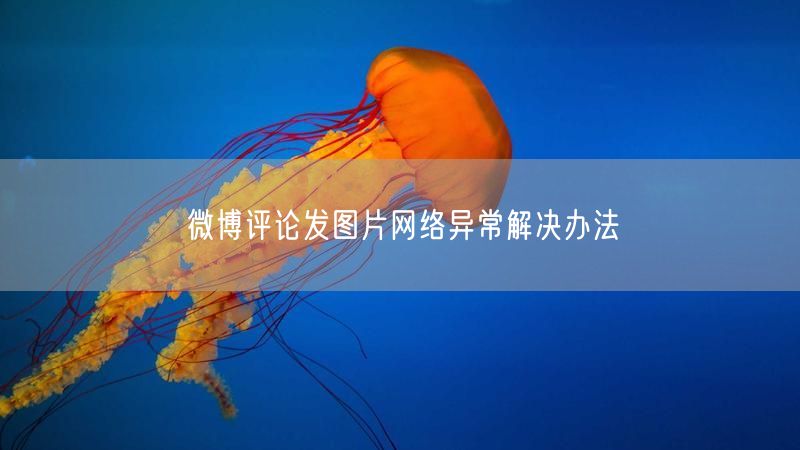 微博评论发图片网络异常解决办法