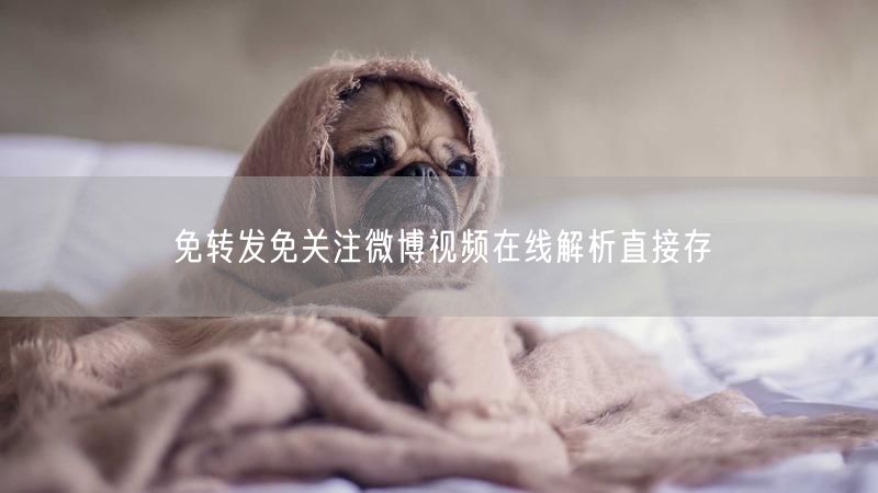 免转发免关注微博视频在线解析直接存