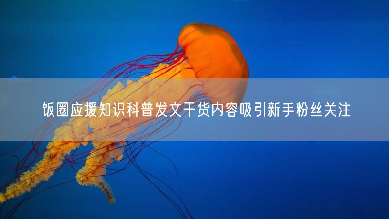 饭圈应援知识科普发文干货内容吸引新手粉丝关注