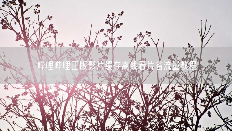 哔哩哔哩正版影片缓存离线看片省流量教程