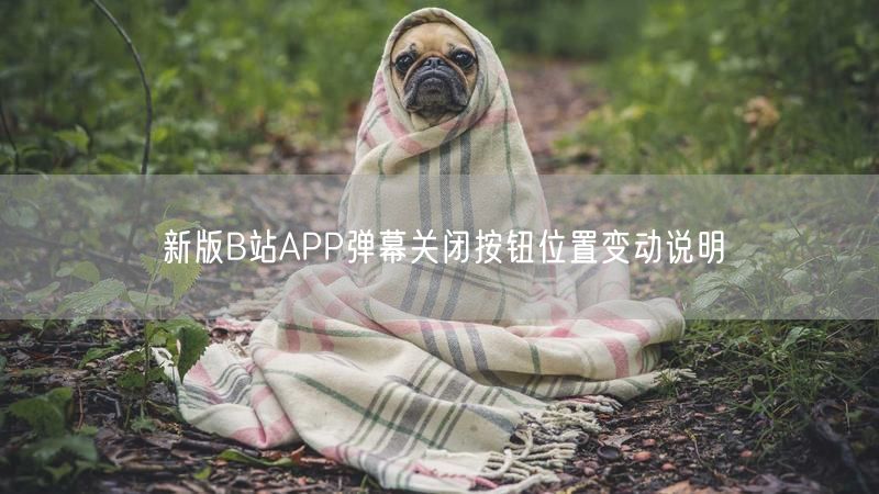 新版B站APP弹幕关闭按钮位置变动说明
