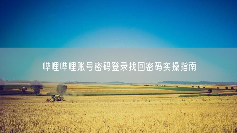 哔哩哔哩账号密码登录找回密码实操指南