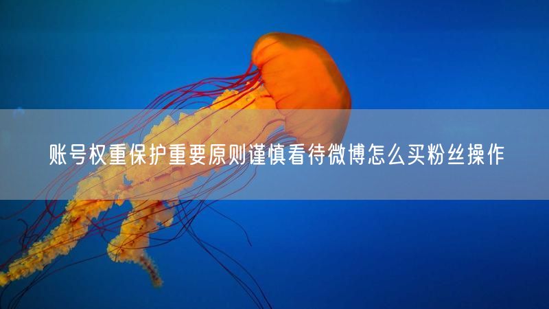 账号权重保护重要原则谨慎看待微博怎么买粉丝操作