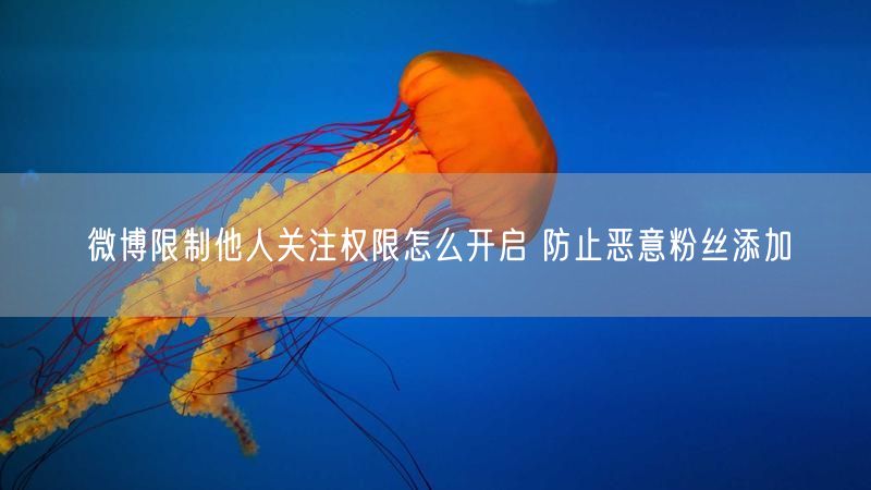 微博限制他人关注权限怎么开启 防止恶意粉丝添加