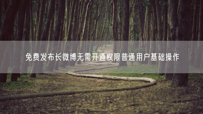 免费发布长微博无需开通权限普通用户基础操作
