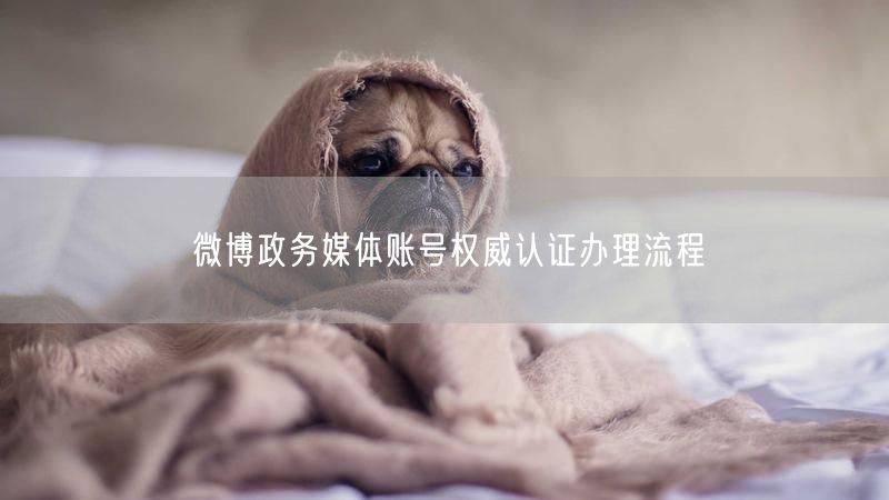 微博政务媒体账号权威认证办理流程