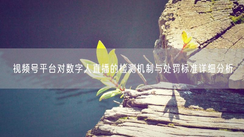 视频号平台对数字人直播的检测机制与处罚标准详细分析