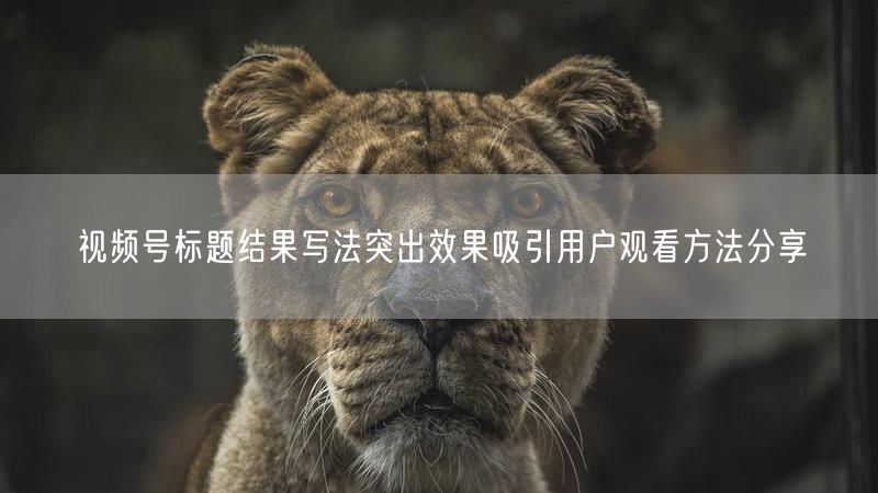 视频号标题结果写法突出效果吸引用户观看方法分享