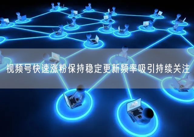 视频号快速涨粉保持稳定更新频率吸引持续关注