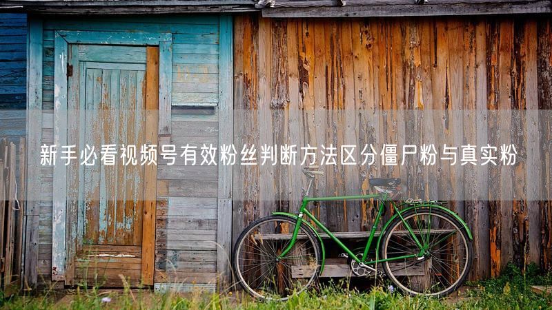 新手必看视频号有效粉丝判断方法区分僵尸粉与真实粉