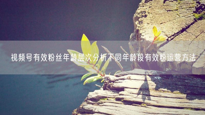 视频号有效粉丝年龄层次分析不同年龄段有效粉运营方法