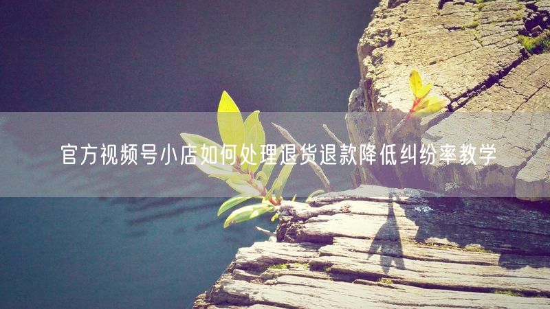 官方视频号小店如何处理退货退款降低纠纷率教学