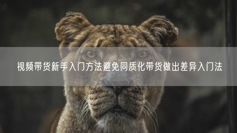 视频带货新手入门方法避免同质化带货做出差异入门法
