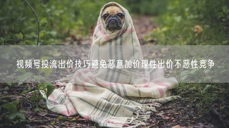 视频号投流出价技巧避免恶意加价理性出价不恶性竞争