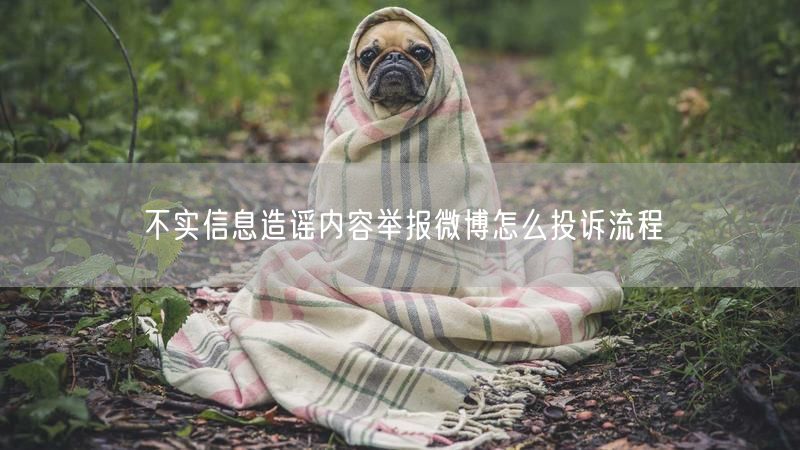 不实信息造谣内容举报微博怎么投诉流程