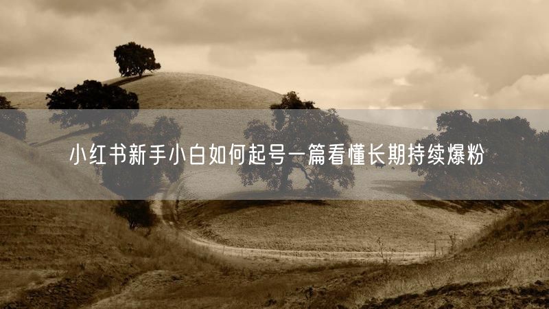 小红书新手小白如何起号一篇看懂长期持续爆粉