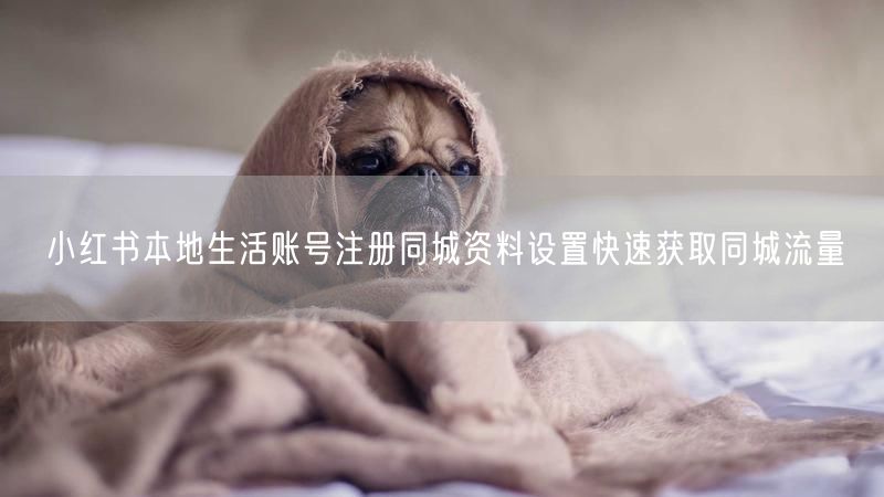 小红书本地生活账号注册同城资料设置快速获取同城流量