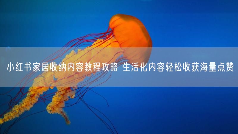 小红书家居收纳内容教程攻略 生活化内容轻松收获海量点赞