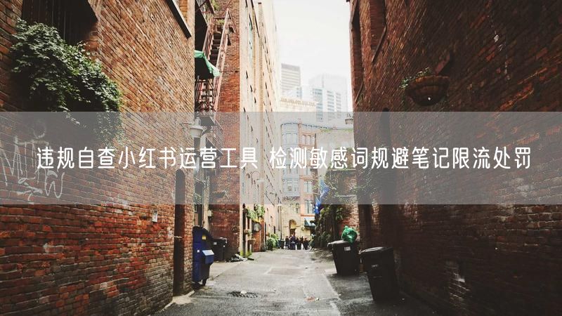 违规自查小红书运营工具 检测敏感词规避笔记限流处罚