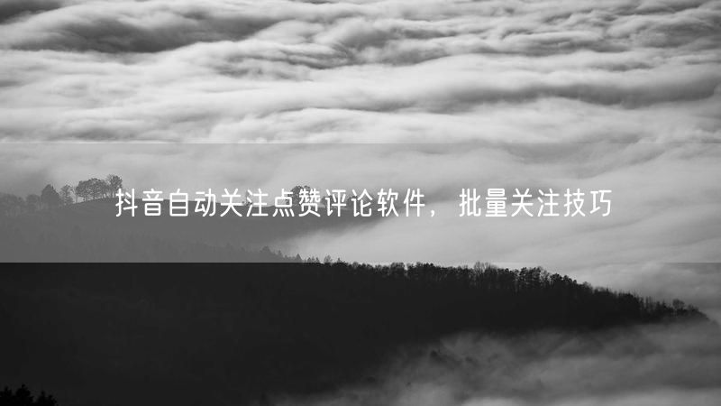 抖音自动关注点赞评论软件，批量关注技巧