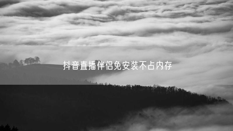 抖音直播伴侣免安装不占内存