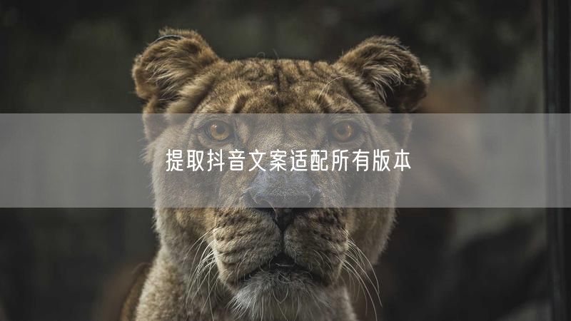 提取抖音文案适配所有版本