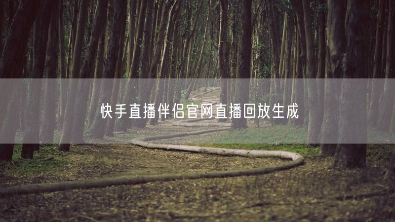 快手直播伴侣官网直播回放生成