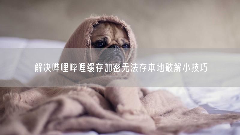 解决哔哩哔哩缓存加密无法存本地破解小技巧