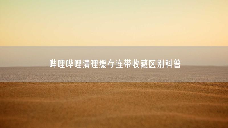 哔哩哔哩清理缓存连带收藏区别科普