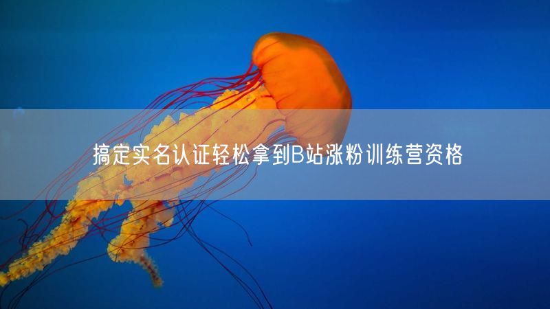 搞定实名认证轻松拿到B站涨粉训练营资格