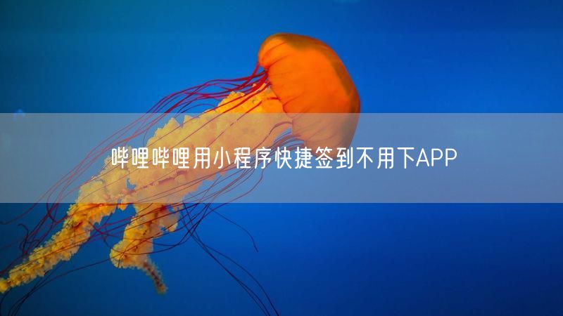 哔哩哔哩用小程序快捷签到不用下APP