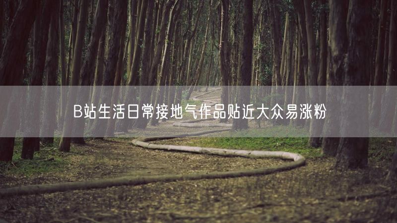 B站生活日常接地气作品贴近大众易涨粉