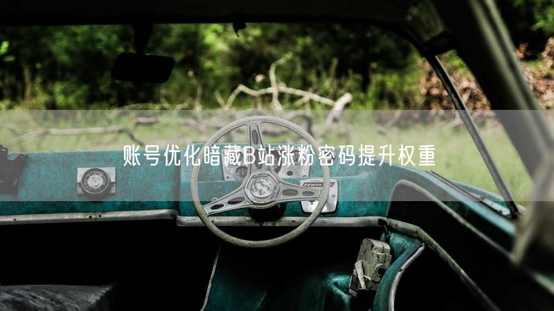 账号优化暗藏B站涨粉密码提升权重