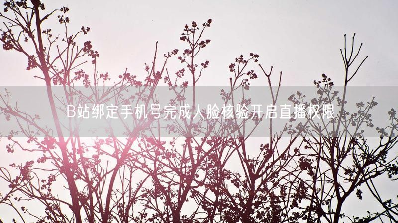 B站绑定手机号完成人脸核验开启直播权限