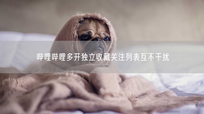 哔哩哔哩多开独立收藏关注列表互不干扰