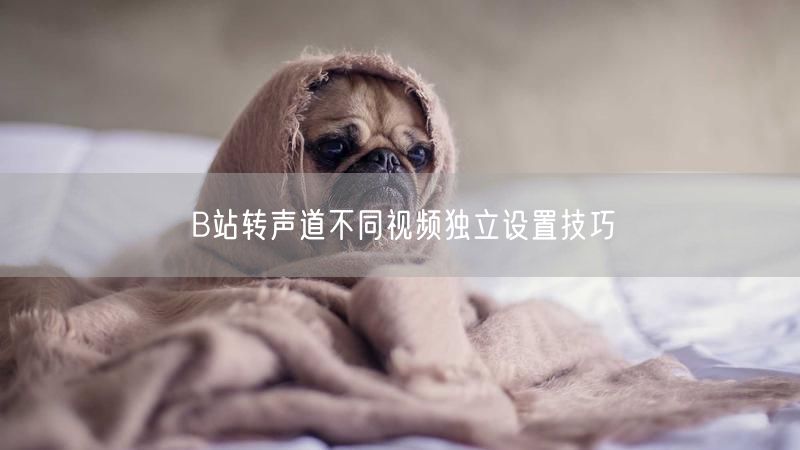 B站转声道不同视频独立设置技巧