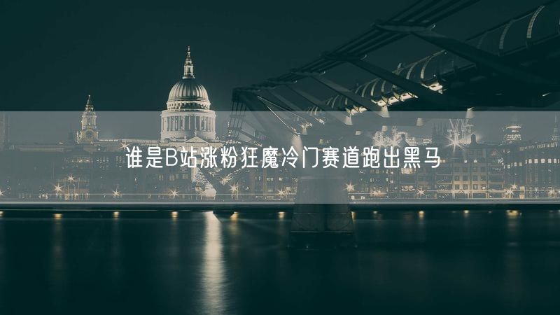 谁是B站涨粉狂魔冷门赛道跑出黑马
