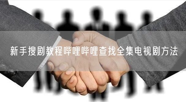 新手搜剧教程哔哩哔哩查找全集电视剧方法