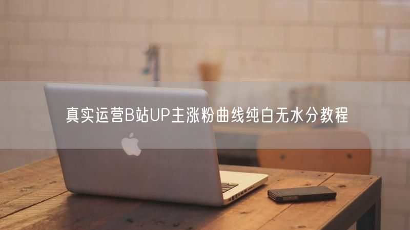 真实运营B站UP主涨粉曲线纯白无水分教程