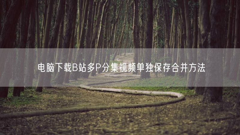 电脑下载B站多P分集视频单独保存合并方法
