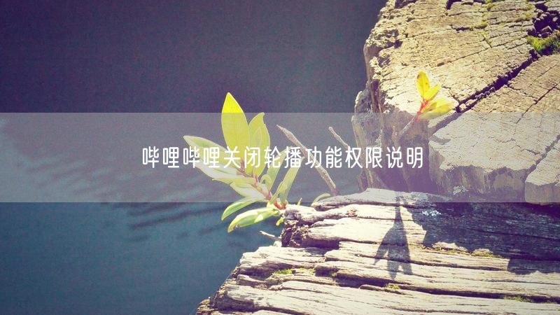 哔哩哔哩关闭轮播功能权限说明