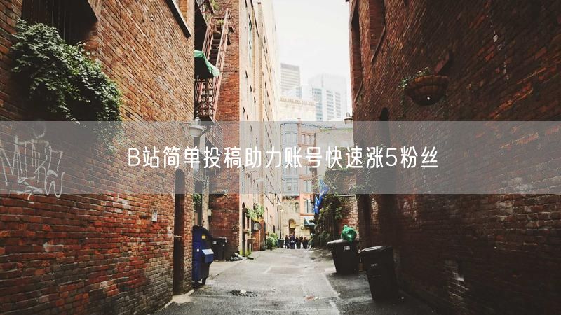 B站简单投稿助力账号快速涨5粉丝