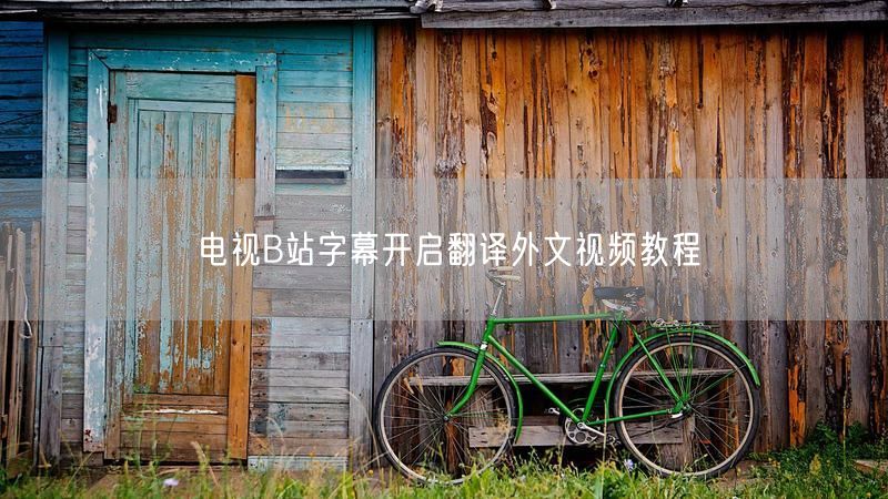 电视B站字幕开启翻译外文视频教程