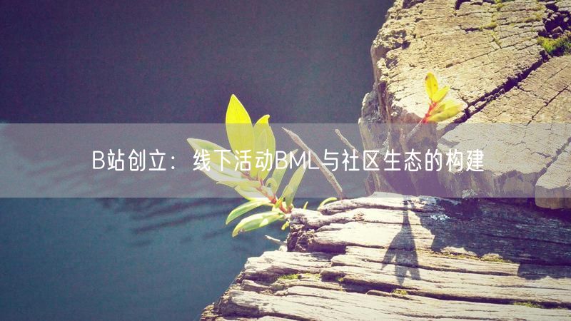 B站创立：线下活动BML与社区生态的构建