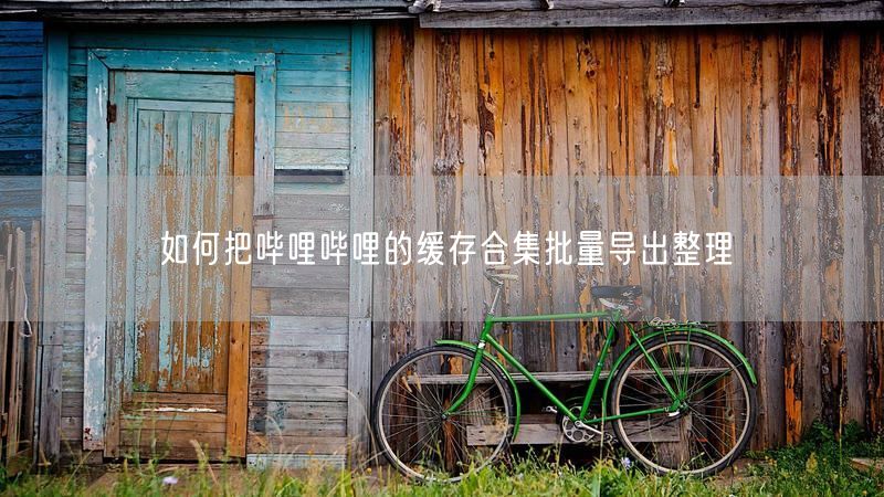 如何把哔哩哔哩的缓存合集批量导出整理