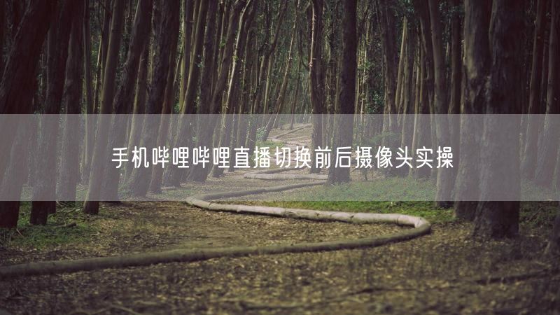 手机哔哩哔哩直播切换前后摄像头实操