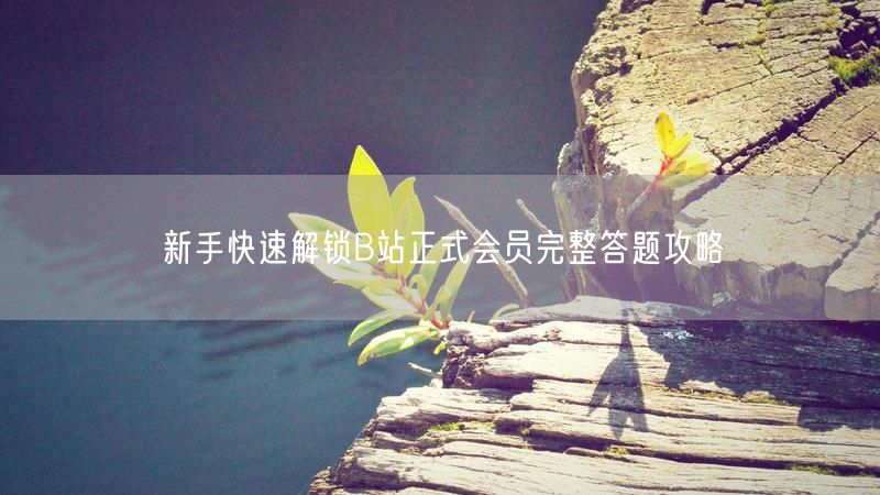 新手快速解锁B站正式会员完整答题攻略