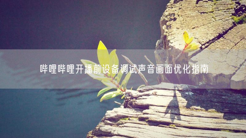 哔哩哔哩开播前设备调试声音画面优化指南